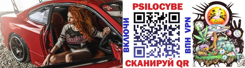 Псилоцибиновые грибы мицелий  где купить наркоту  Томск 